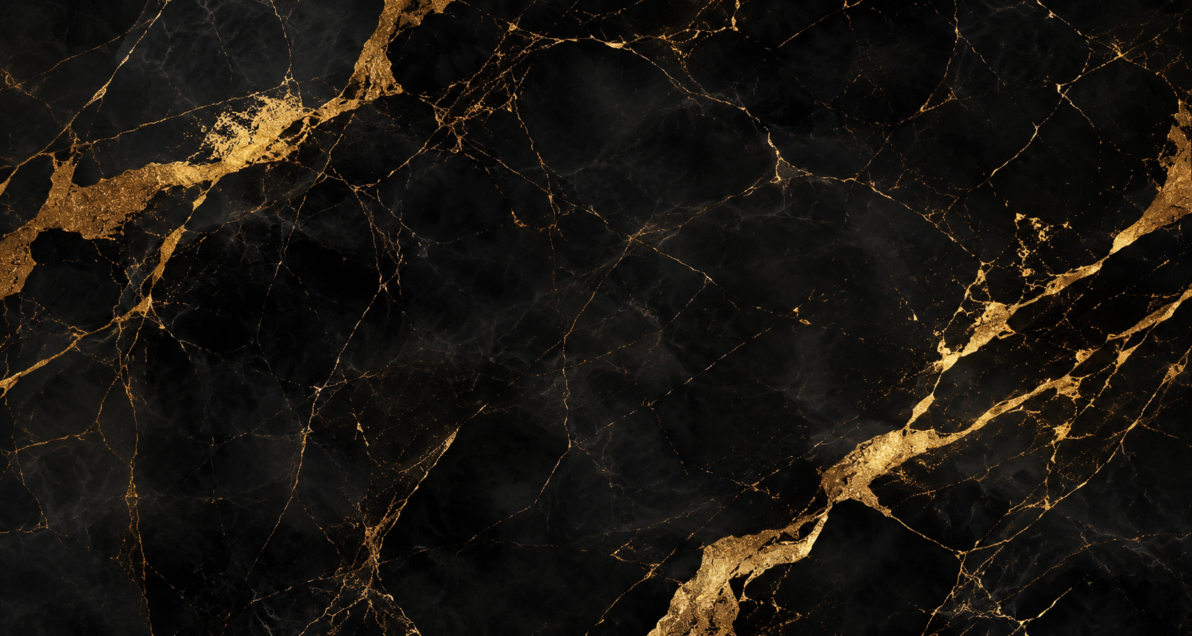 collection-banner-image